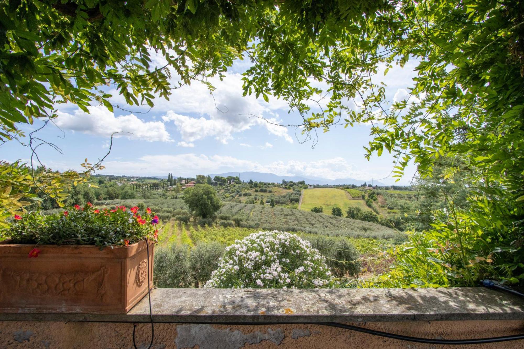 Vigna Luisa Resort - Near Rome Genzano di Roma Dış mekan fotoğraf