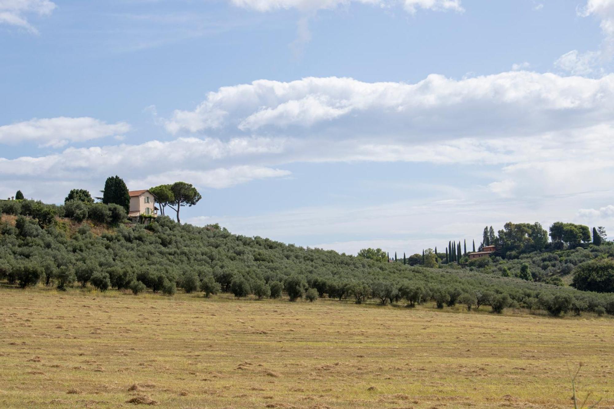 Vigna Luisa Resort - Near Rome Genzano di Roma Dış mekan fotoğraf
