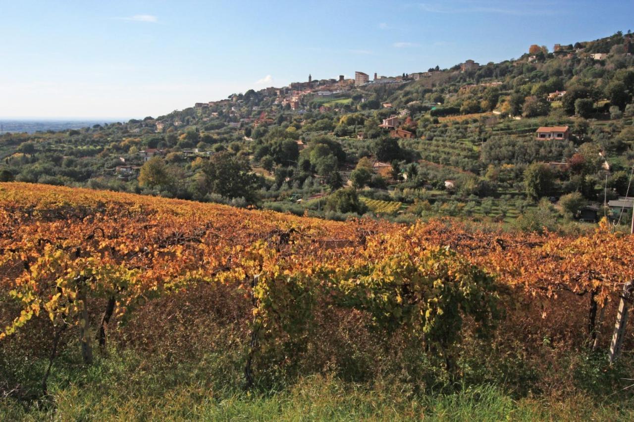 Vigna Luisa Resort - Near Rome Genzano di Roma Dış mekan fotoğraf